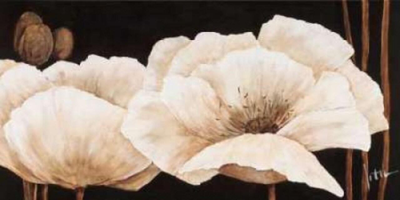Amazing poppies IV Poster Print by Jettie Roseboom - Item # VARPDXGA0116206